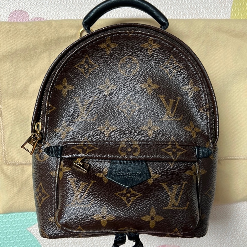 LV Louis Vuitton Palm Springs Mini